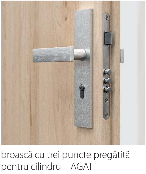 UȘA DE INTRARE ÎN APARTAMENT - AGAT