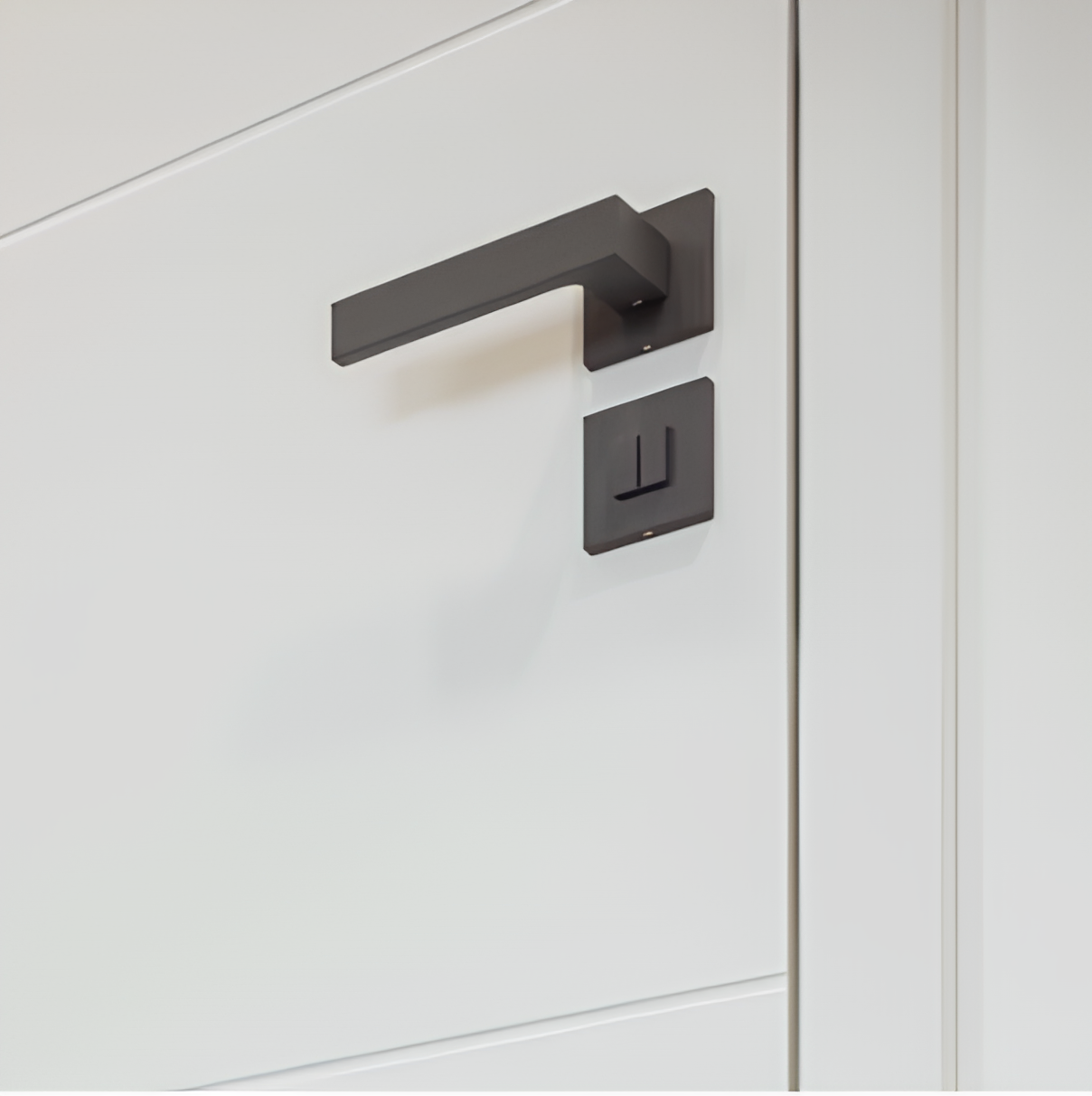 UȘA CU TOC REGLABIL HDF VECTOR V