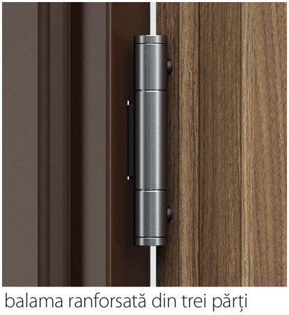 UȘA DE INTRARE ÎN APARTAMENT - GRANIT