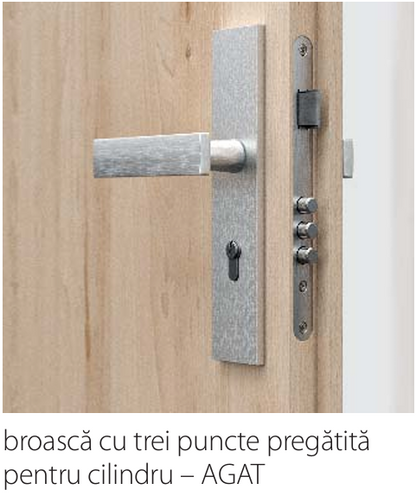 UȘA DE INTRARE ÎN APARTAMENT - AGAT